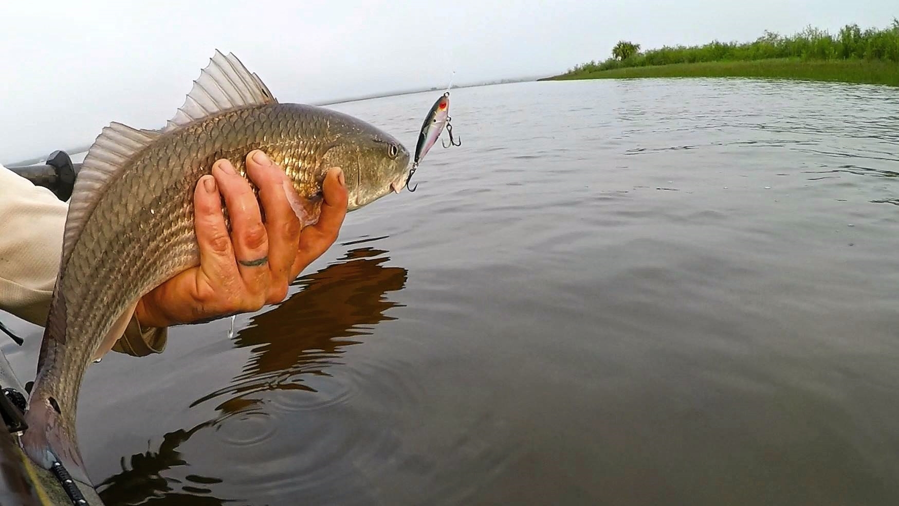 A picture of The 2023 St. Augustine Fishing Calendar with Avid Angler in St. Augustine